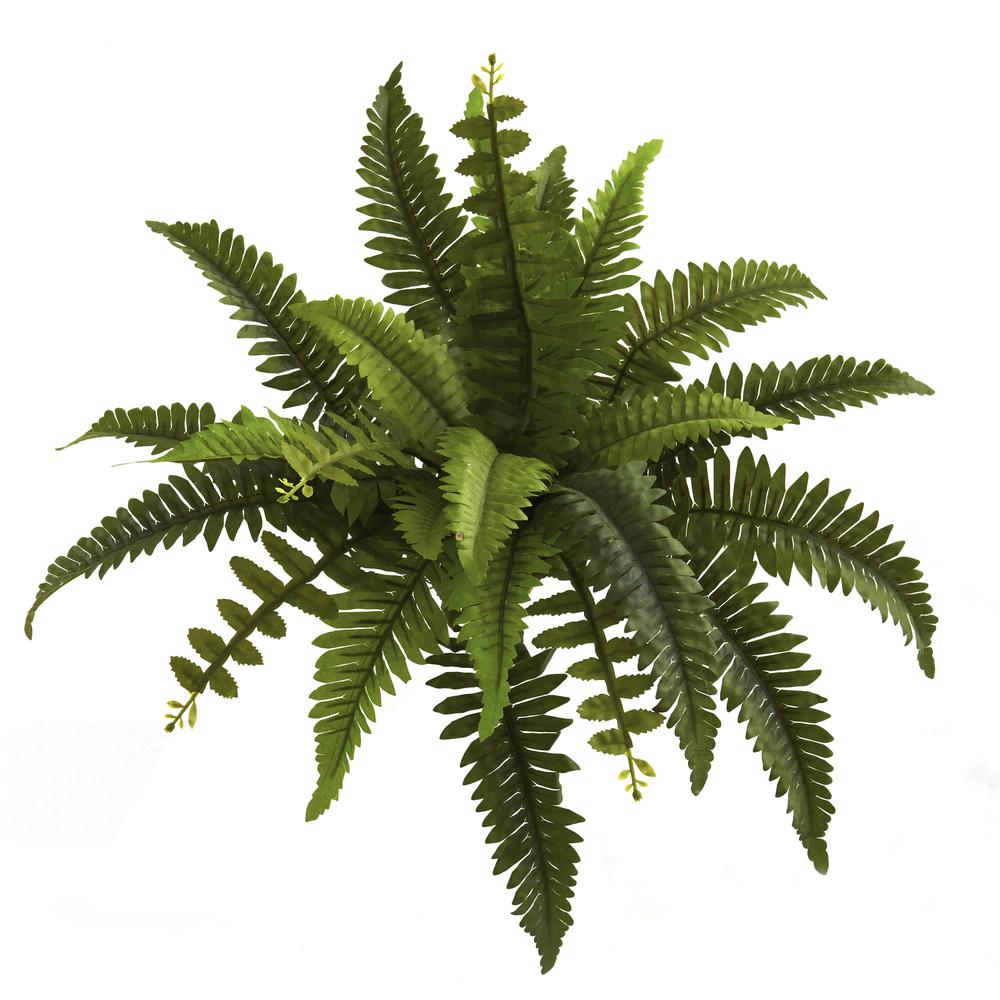 14in. Boston Fern Artificial Plant (Set of 6). Picture 2