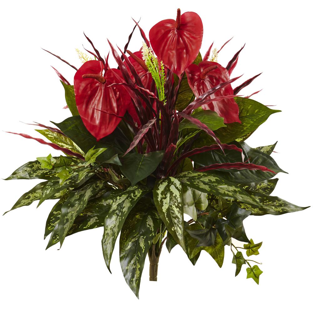 24in. Mixed Anthurium Bush (Set of 2). Picture 1