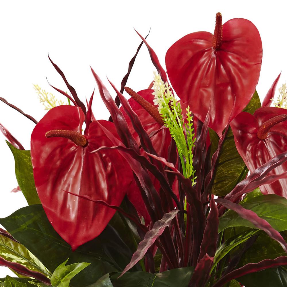 24in. Mixed Anthurium Bush (Set of 2). Picture 3