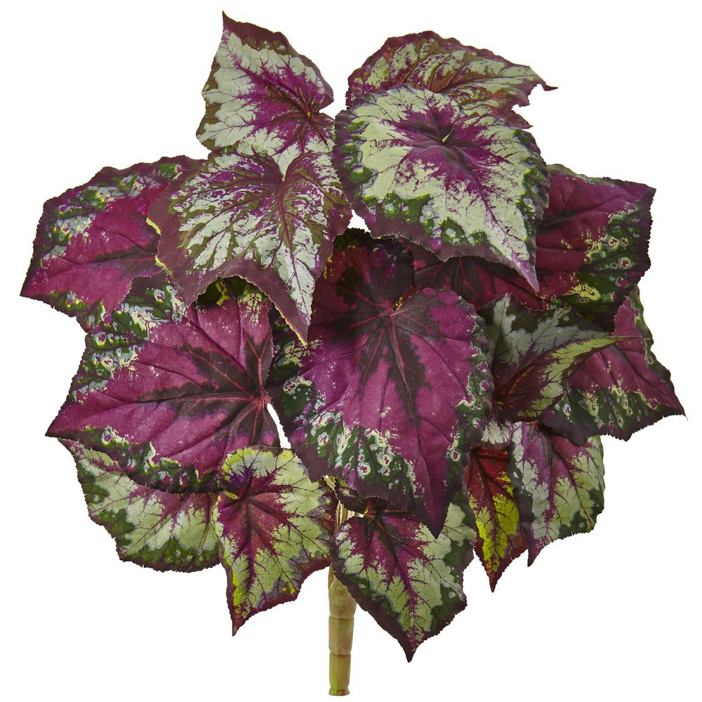 Wax Begonia Bush (Set of 6). Picture 1