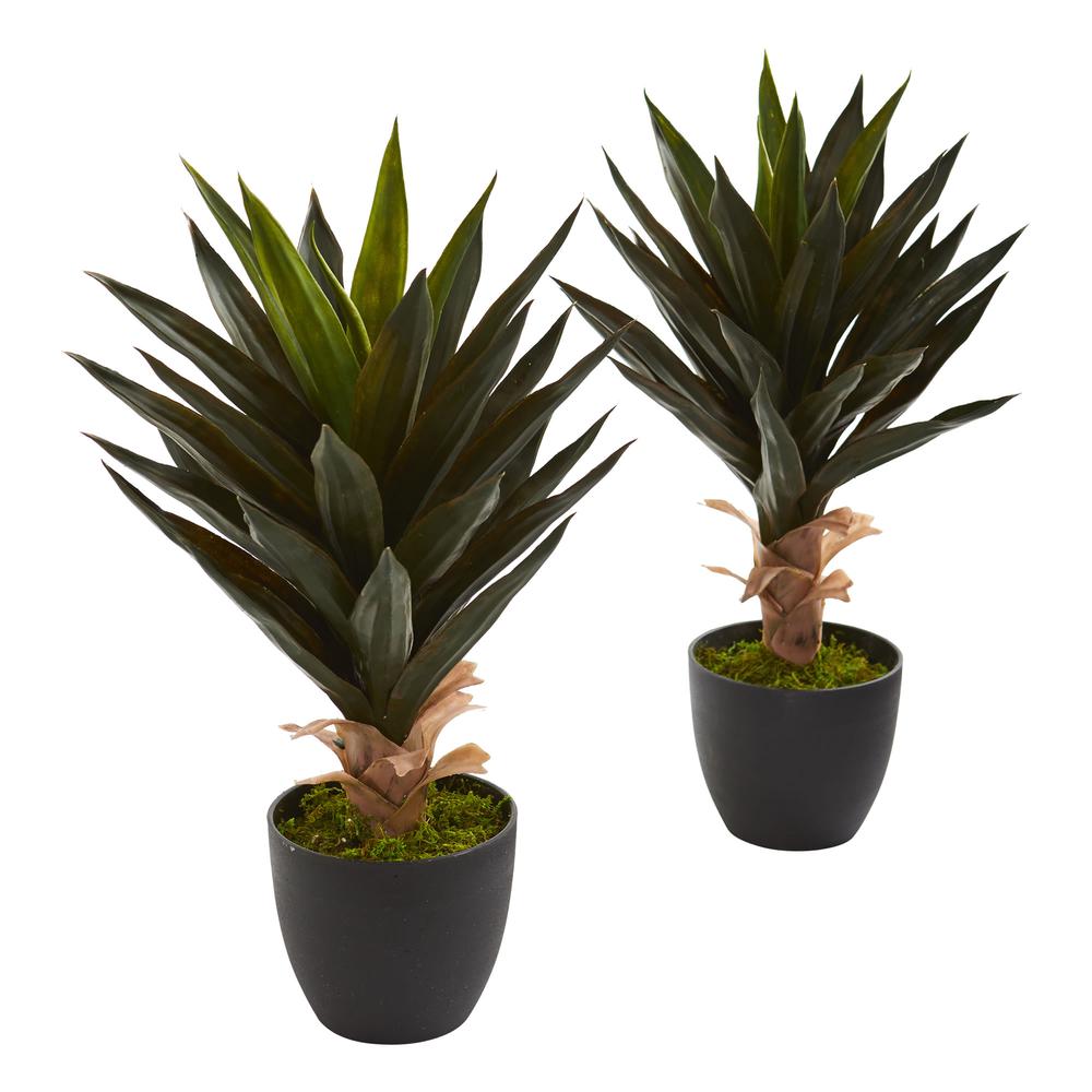 Agave Artificial Plant (Set of 2). Picture 1