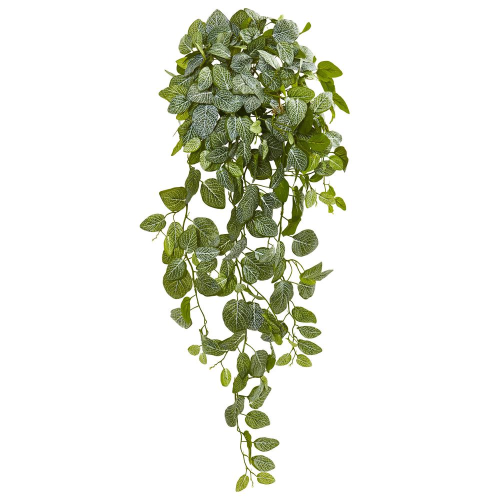 36in. Fittonia Hanging Bush Artificial Plant (Set of 2) (Real Touch). Picture 1