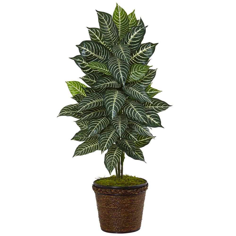 4ft. Zebra Artificial Plant in Coiled Rope Planter. Picture 1