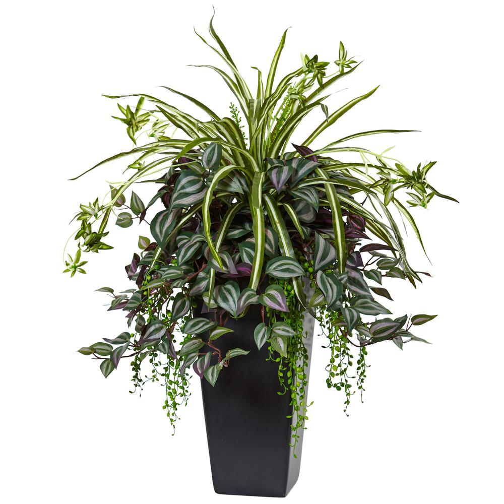 Wandering Jew and Spider Plant in Black Planter. The main picture.