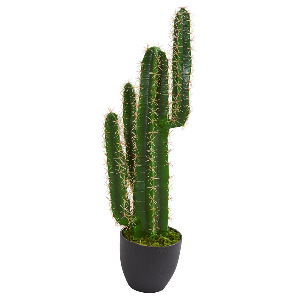 2.5ft. Cactus Artificial Plant. Picture 1
