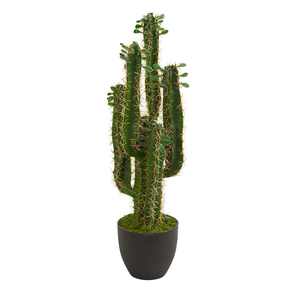2.5ft. Cactus Artificial Plant. Picture 1