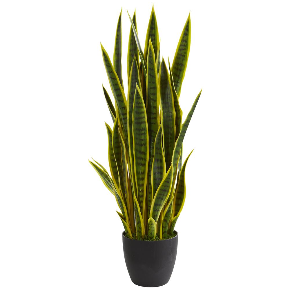 38in. Sansevieria Artificial Plant, Yellow. Picture 1