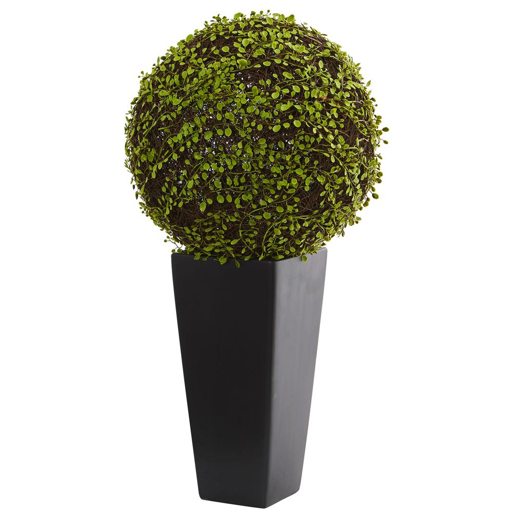Mohlenbechia Ball Artificial Plant in Black Tower Vase. Picture 1