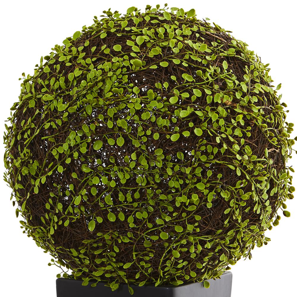 Mohlenbechia Ball Artificial Plant in Black Tower Vase. Picture 2