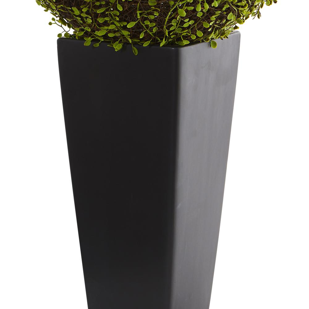 Mohlenbechia Ball Artificial Plant in Black Tower Vase. Picture 5