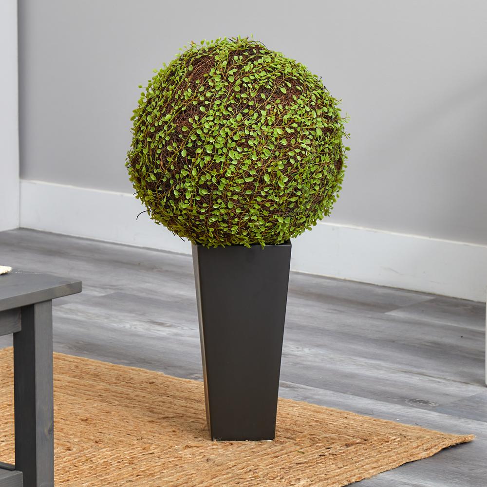Mohlenbechia Ball Artificial Plant in Black Tower Vase. Picture 7