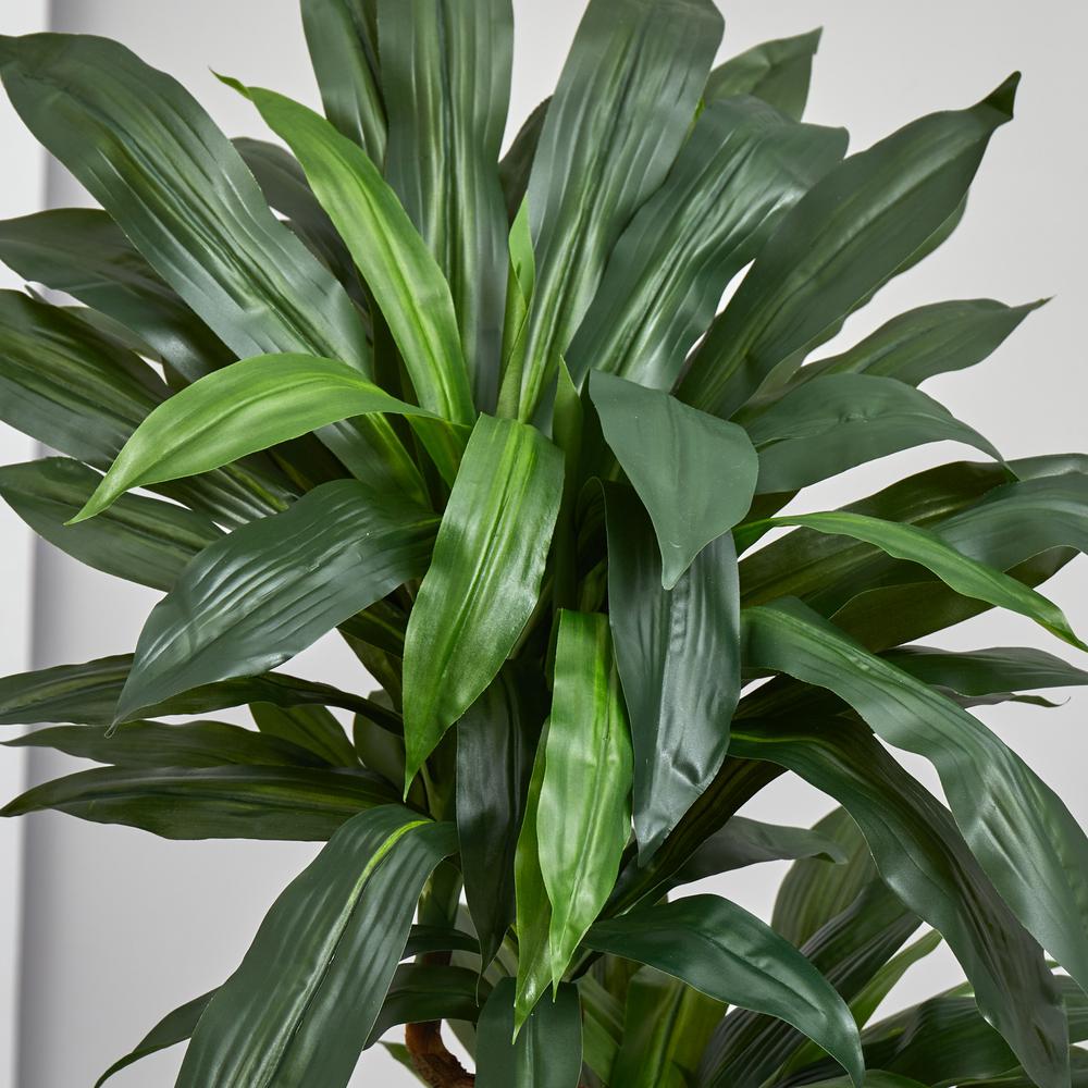 5.5ft. Dracaena Plant in Orange Square Planter (Real Touch). Picture 4