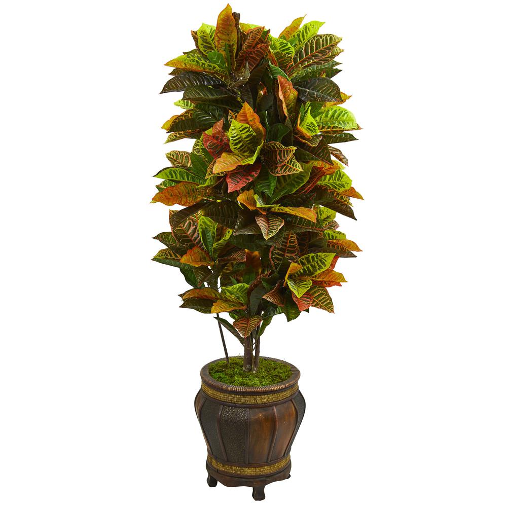 5.5ft. Croton Artificial Plant in Decorative Planter (Real Touch). Picture 1