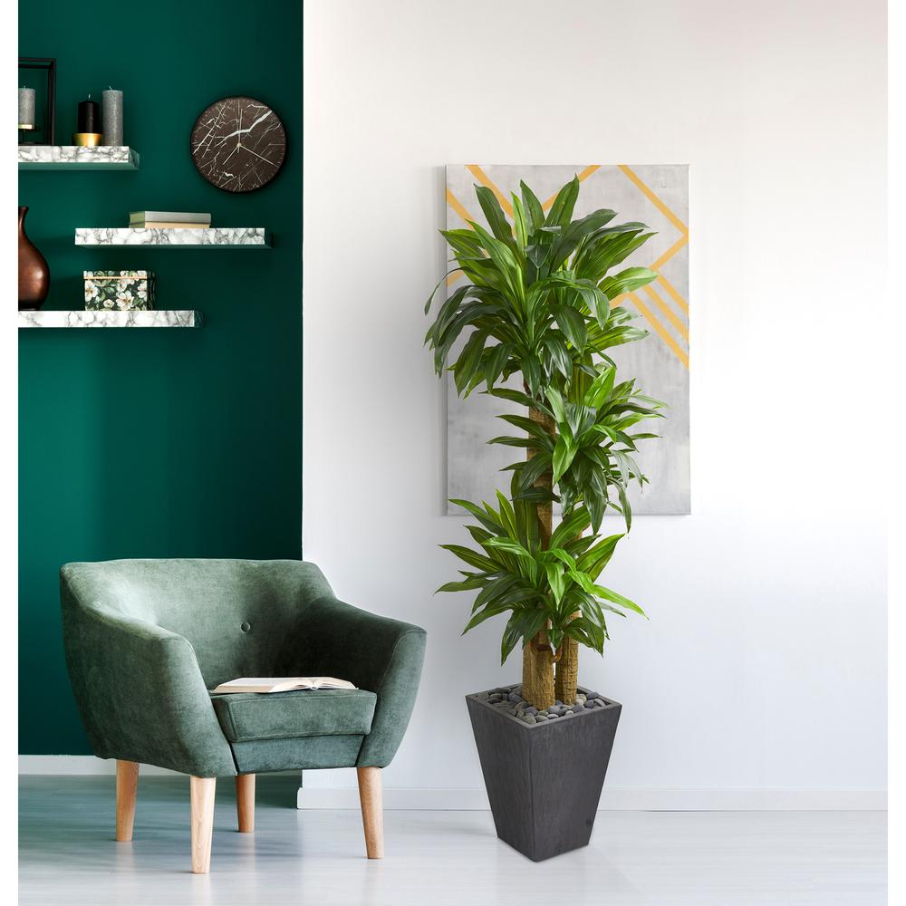 5.5ft. Cornstalk Dracaena Artificial Plant in Slate Planter (Real Touch). Picture 2