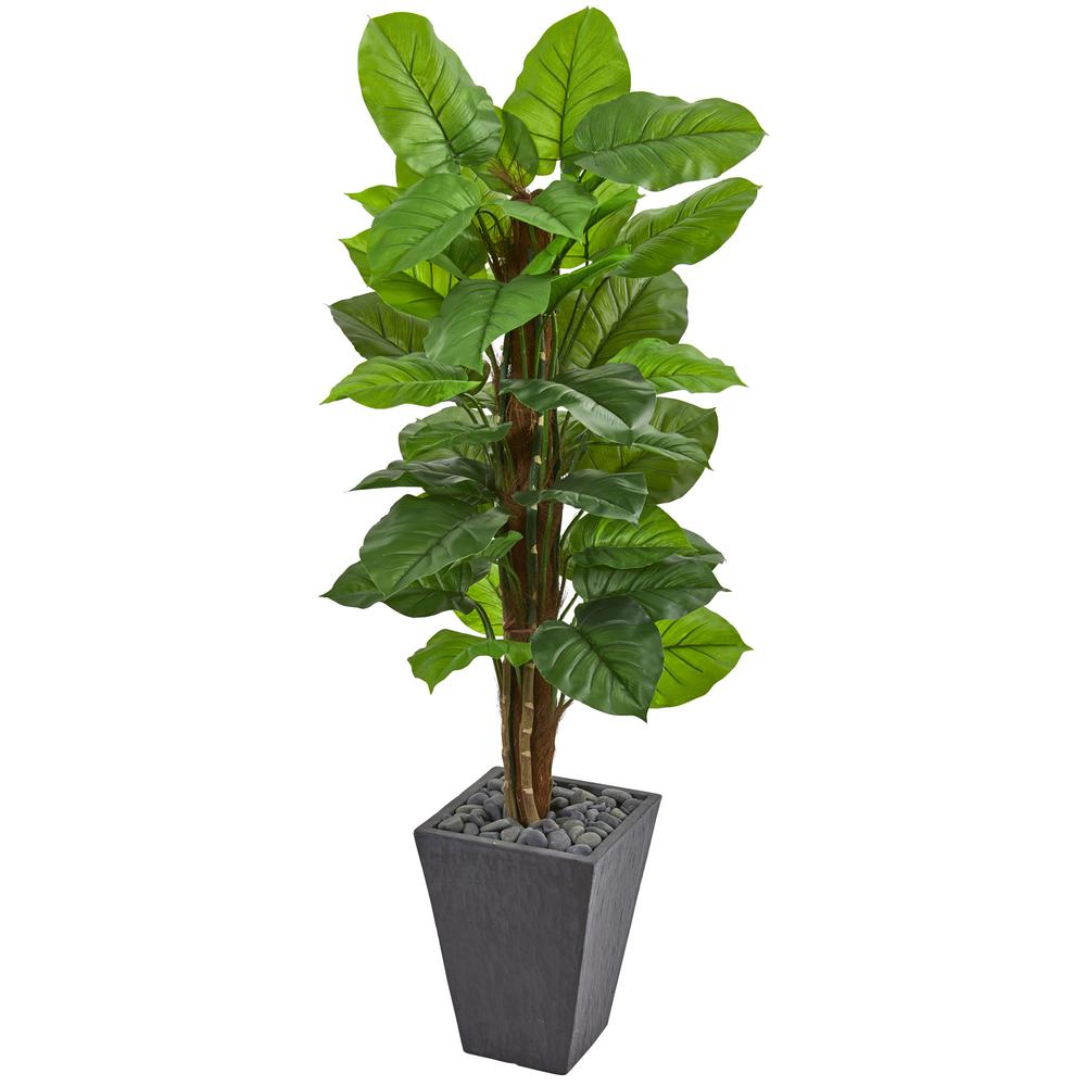 5ft. Large Leaf Philodendron Artificial Plant in Slate Planter (Real Touch). Picture 1