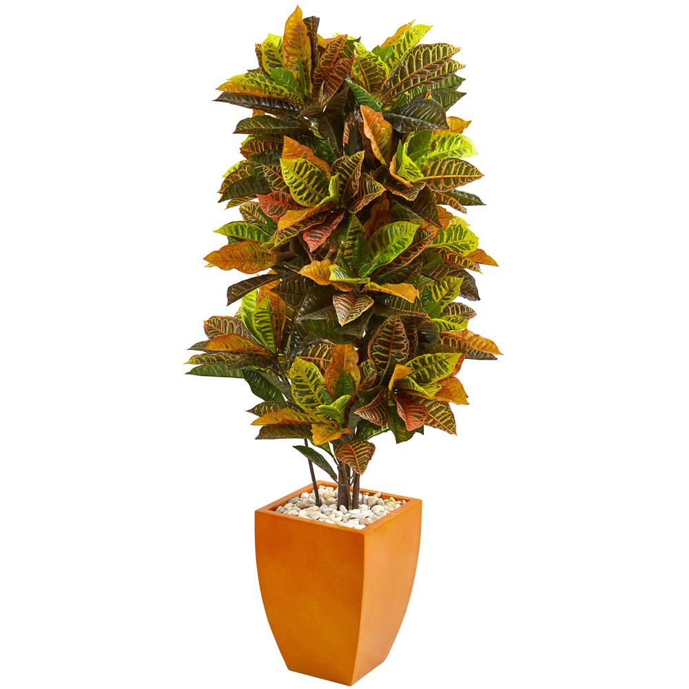 5.5ft. Croton Artificial Plant in Orange Planter (Real Touch). Picture 1