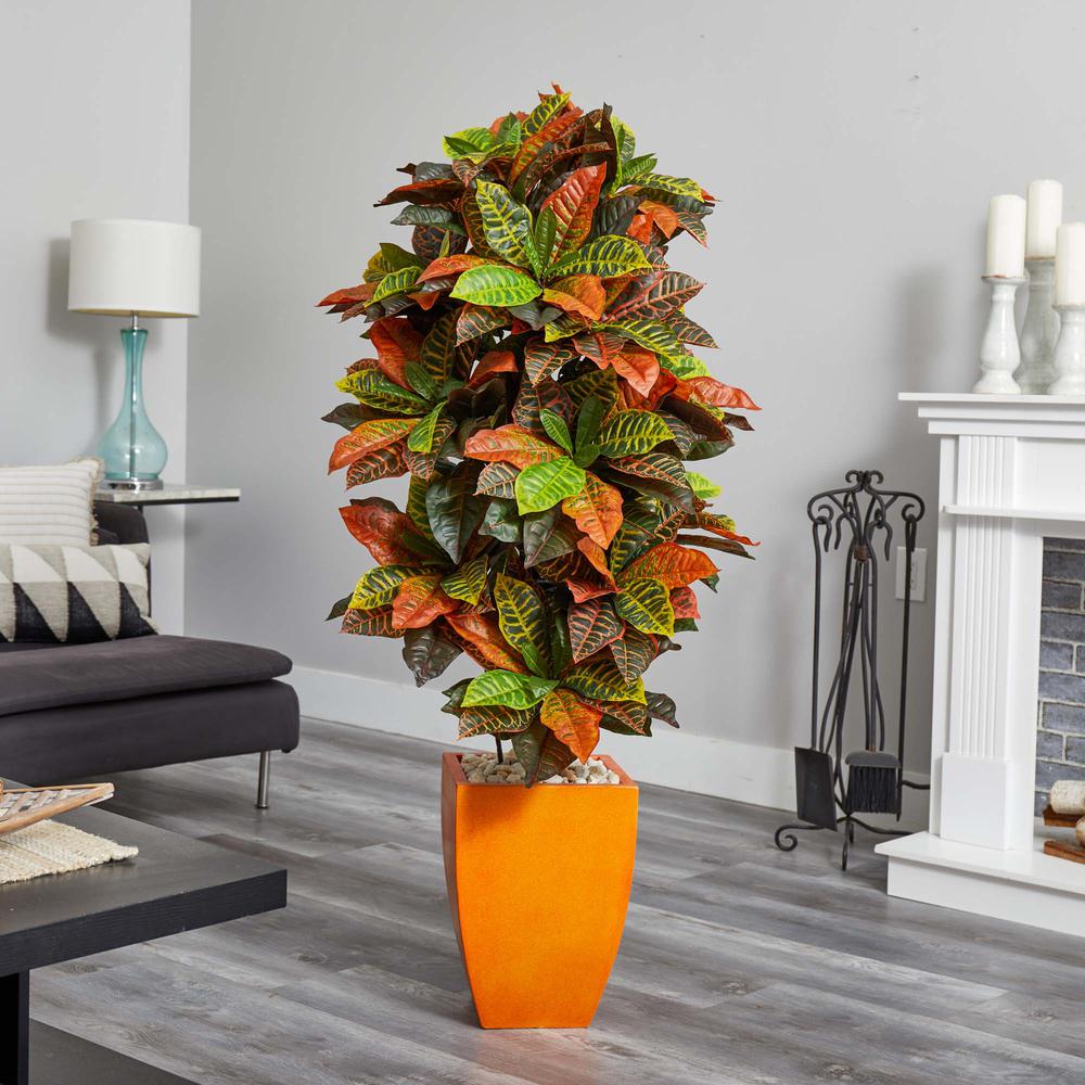 5.5ft. Croton Artificial Plant in Orange Planter (Real Touch). Picture 2