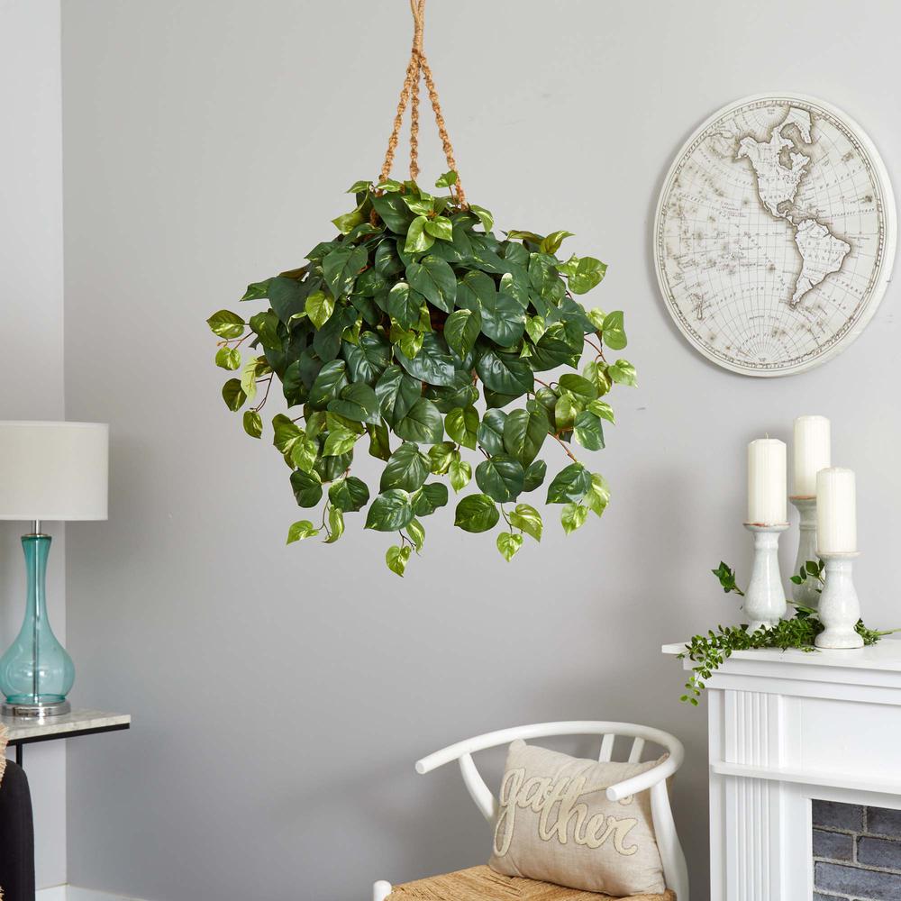 Pothos Hanging Basket Silk Plant. Picture 7