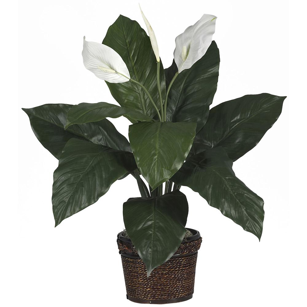 Spathiphyllum with Wicker Silk Plant. Picture 1