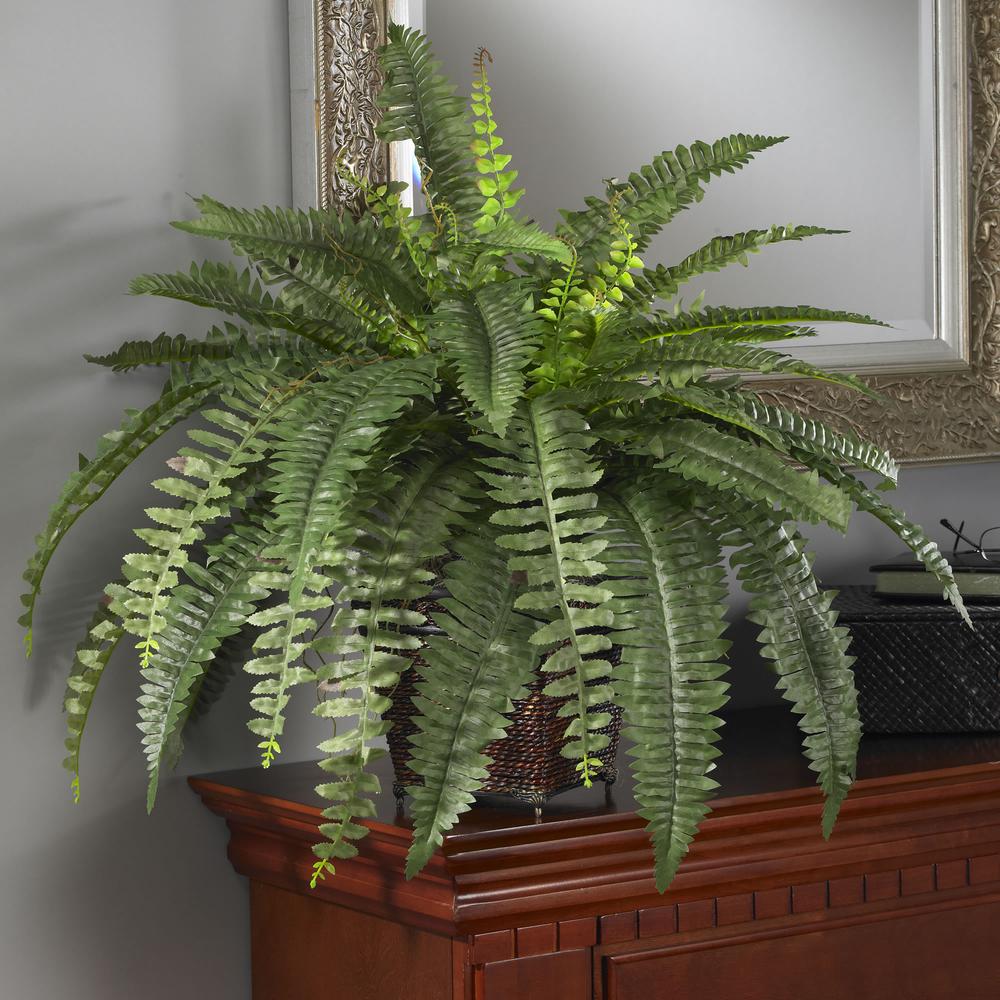 Boston Fern with Wicker Basket Silk Plant. Picture 3