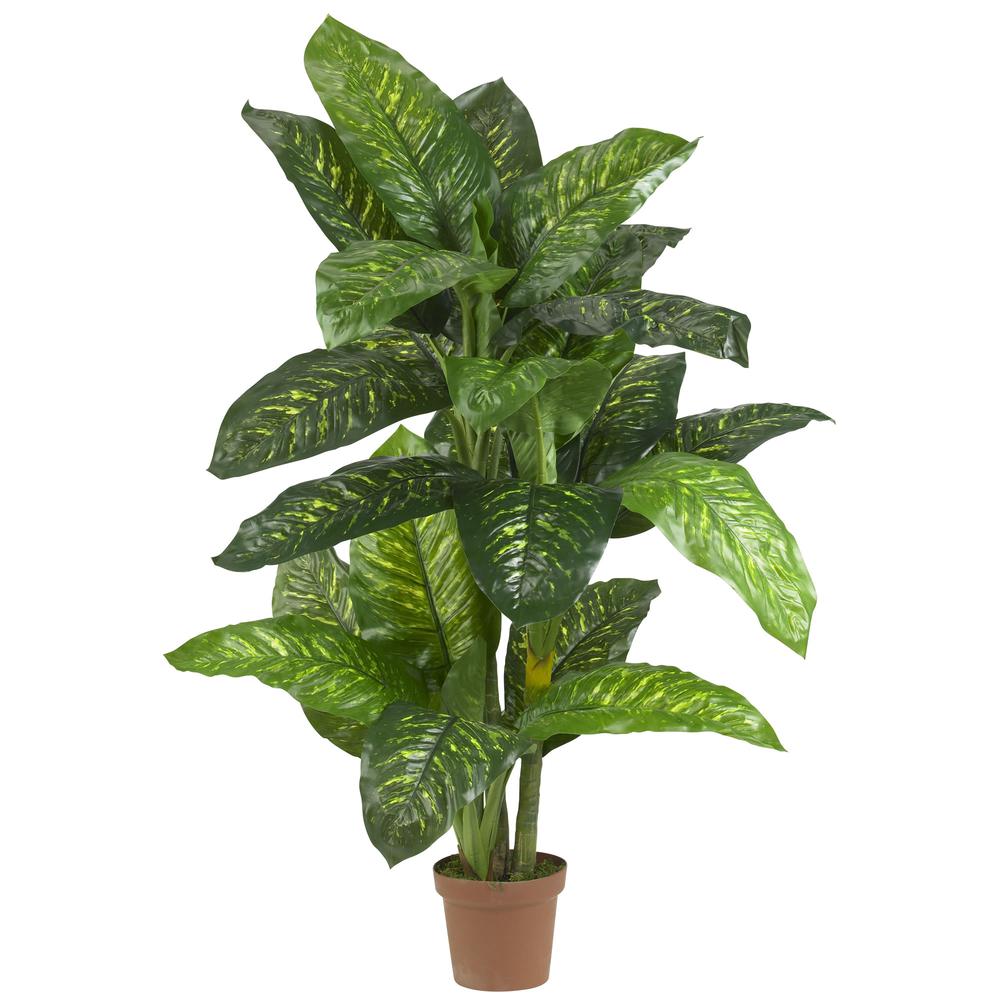 5ft. Dieffenbachia Silk Plant (Real Touch). Picture 1