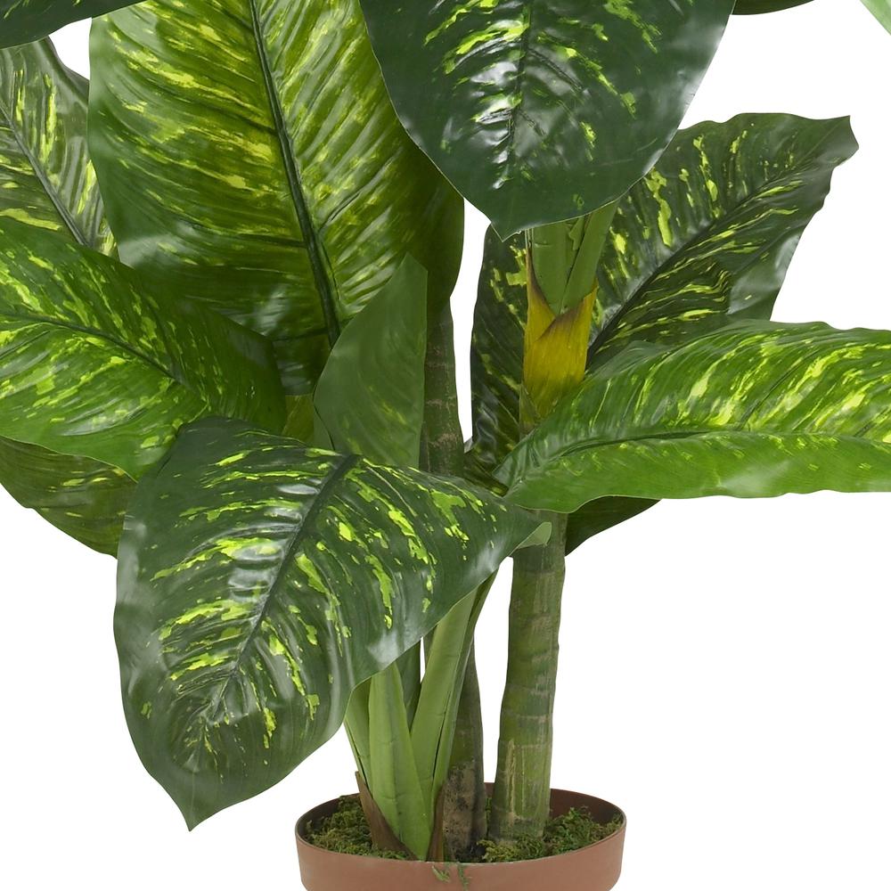5ft. Dieffenbachia Silk Plant (Real Touch). Picture 2