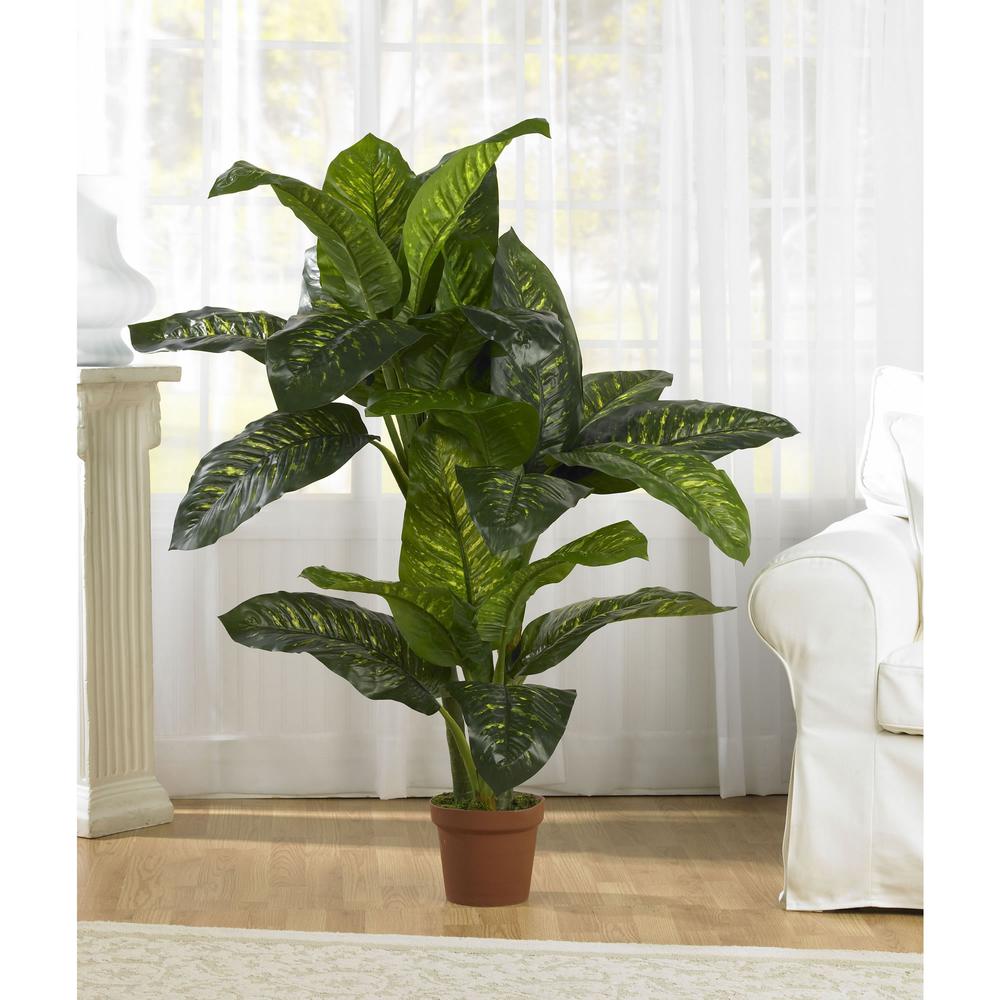 5ft. Dieffenbachia Silk Plant (Real Touch). Picture 4