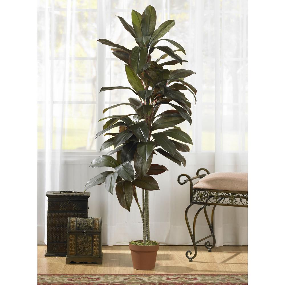 5ft. Cordyline Silk Plant (Real Touch). Picture 2