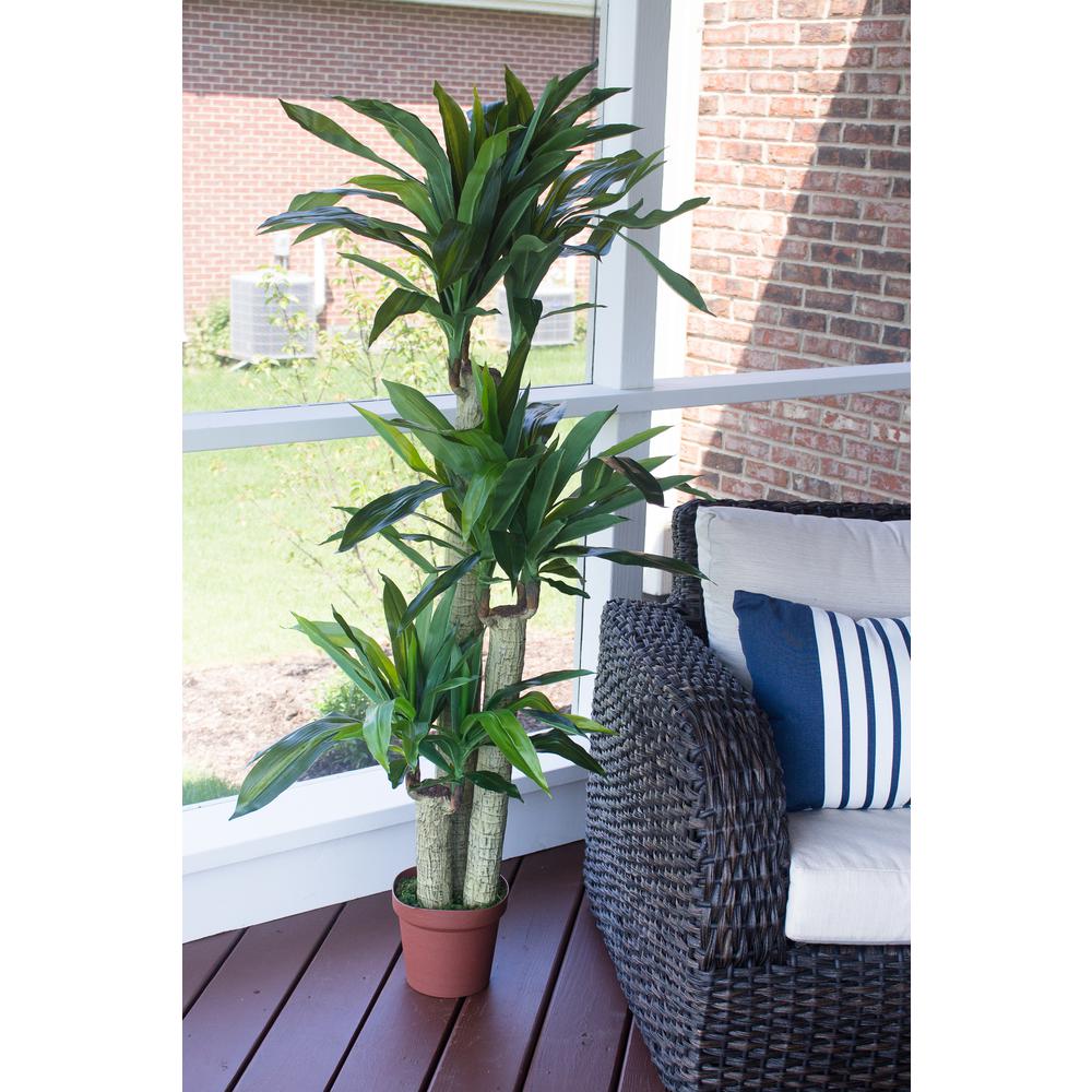 Corn Stalk Dracaena Silk Plant (Real Touch). Picture 9