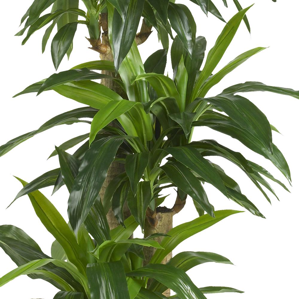Corn Stalk Dracaena Silk Plant (Real Touch). Picture 2