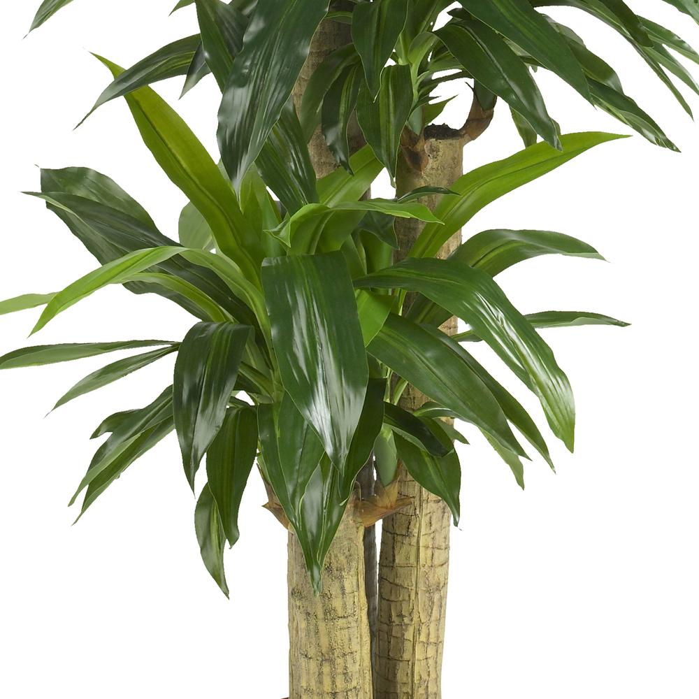 Corn Stalk Dracaena Silk Plant (Real Touch). Picture 4