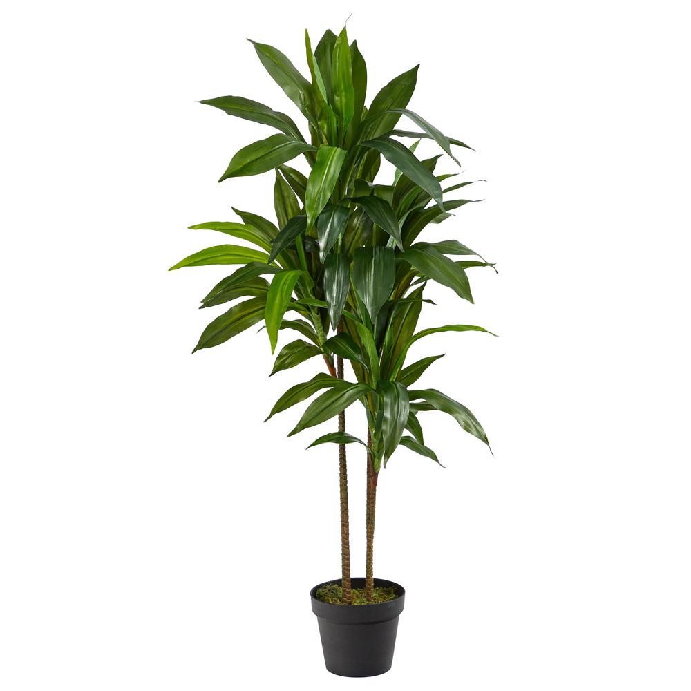 43in. Dracaena Silk Plant (Real Touch). Picture 1