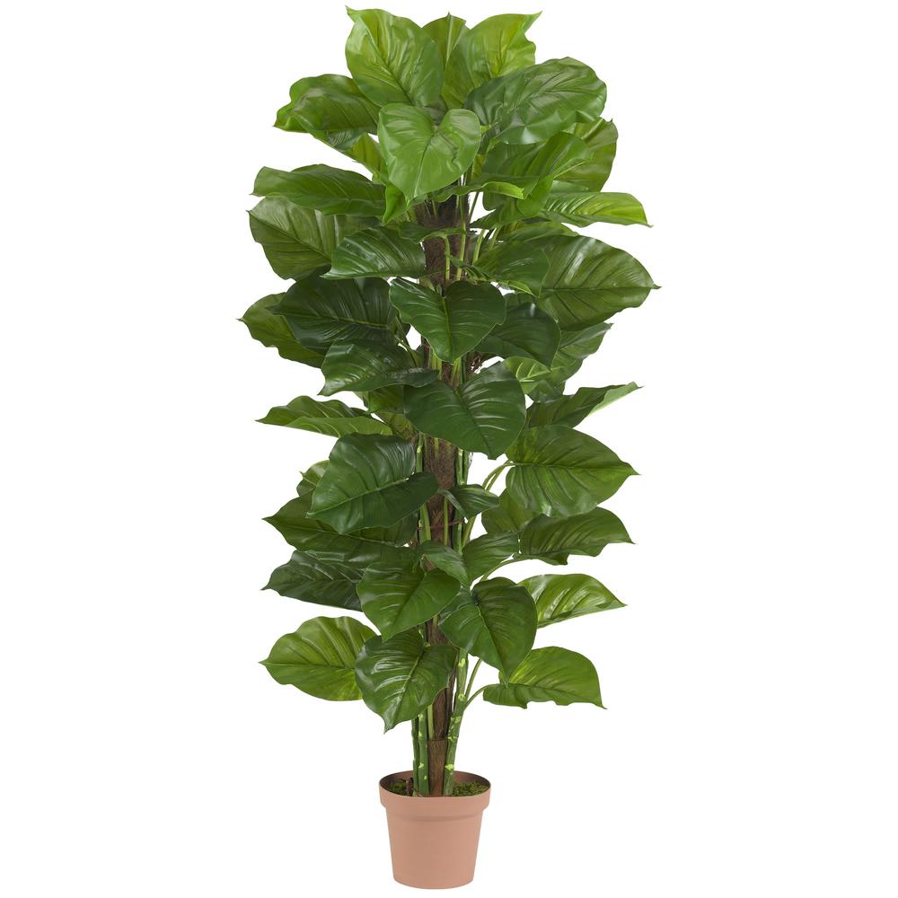 63in. Large Leaf Philodendron Silk Plant (Real Touch). Picture 1