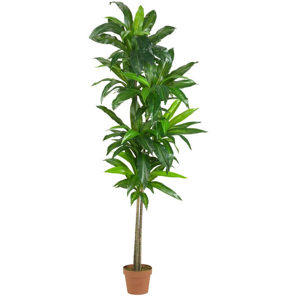 6ft. Dracaena Silk Plant (Real Touch). Picture 1