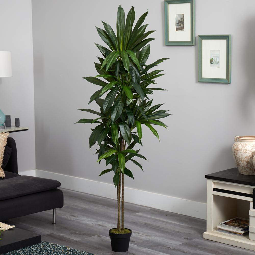 6ft. Dracaena Silk Plant (Real Touch). Picture 3