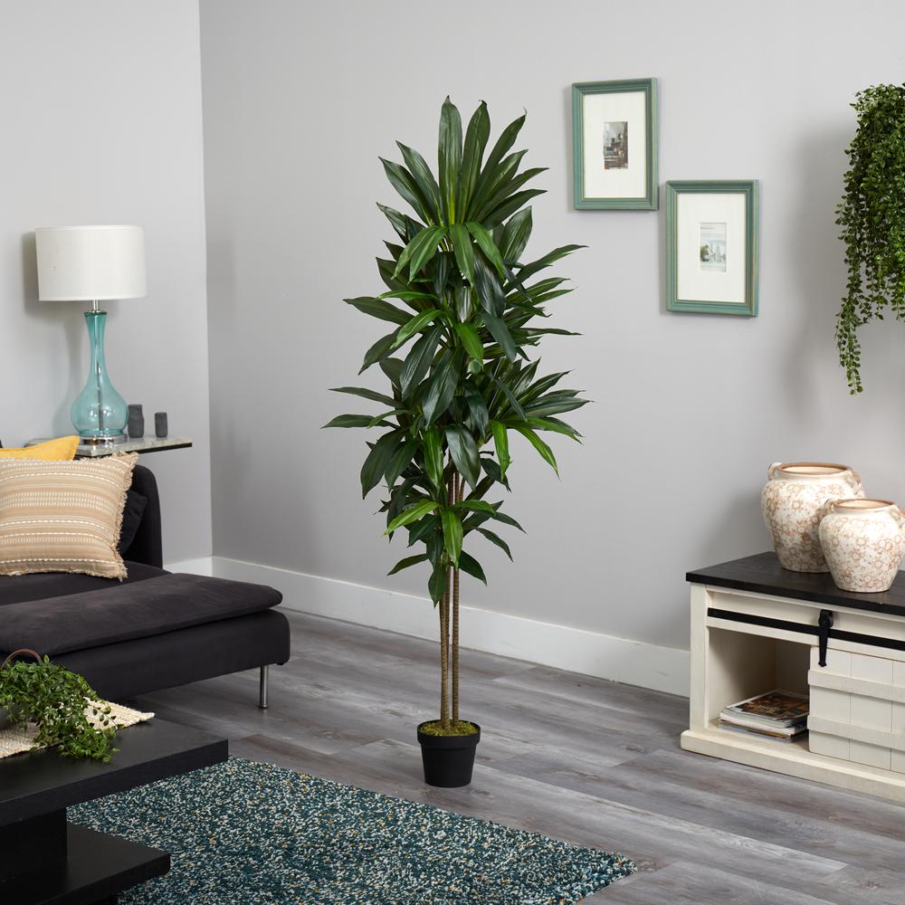 6ft. Dracaena Silk Plant (Real Touch). Picture 2