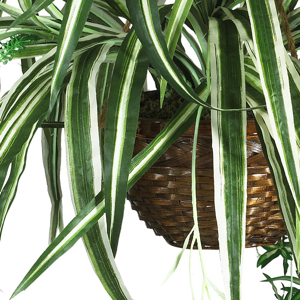 Spider Hanging Basket Silk Plant. Picture 4