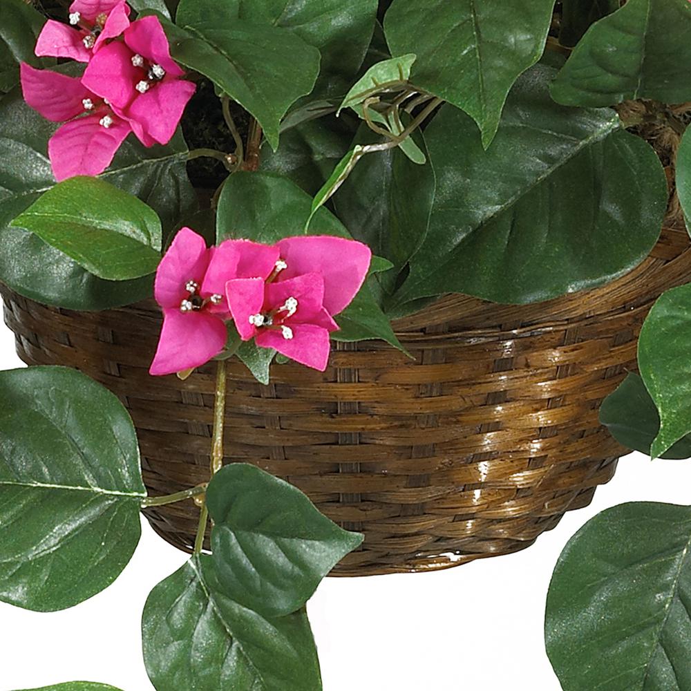 Bougainvillea Hanging Basket Silk Plant. Picture 4