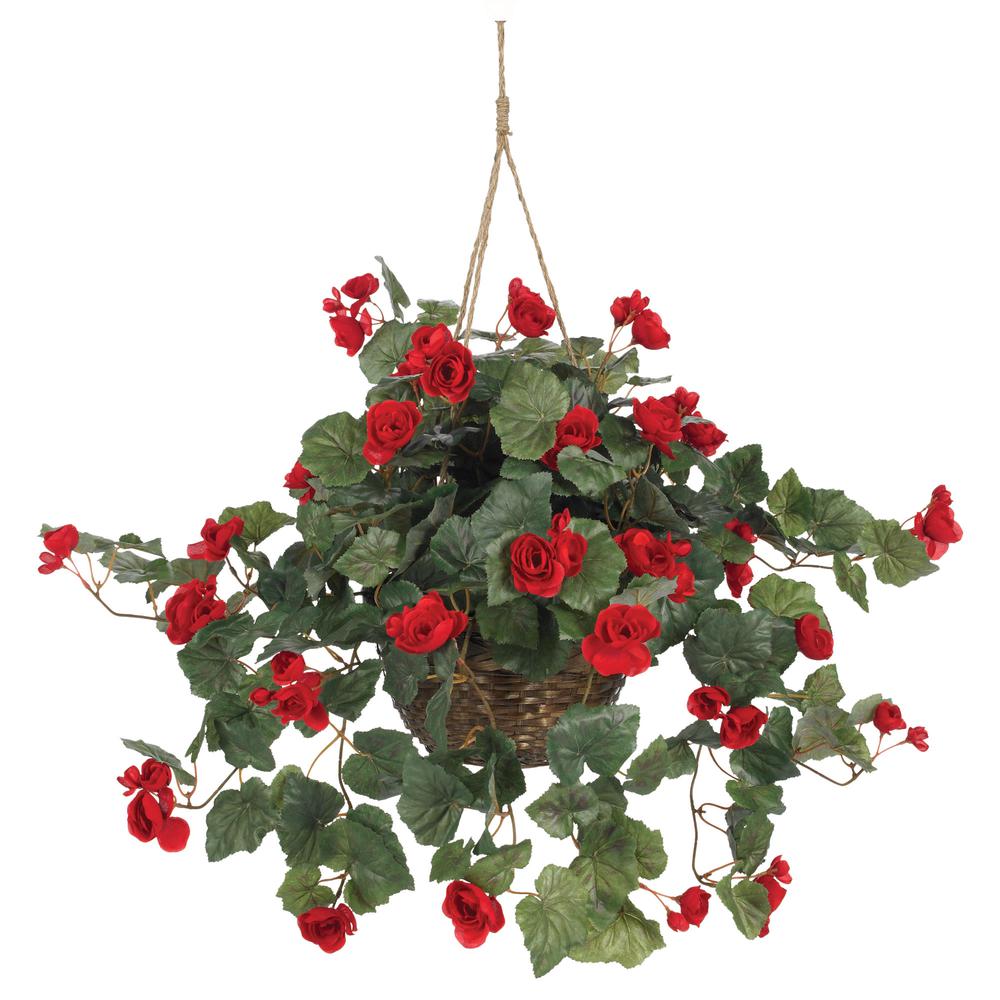Begonia Hanging Basket. Picture 1
