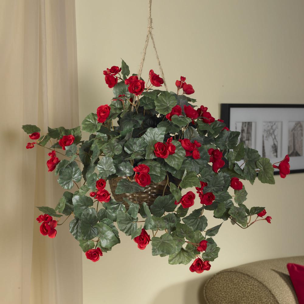Begonia Hanging Basket. Picture 7