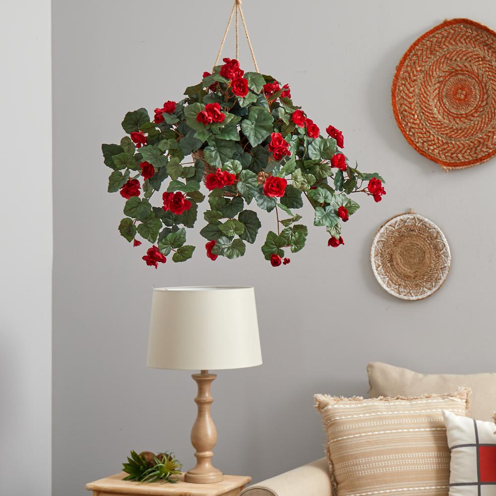 Begonia Hanging Basket. Picture 2