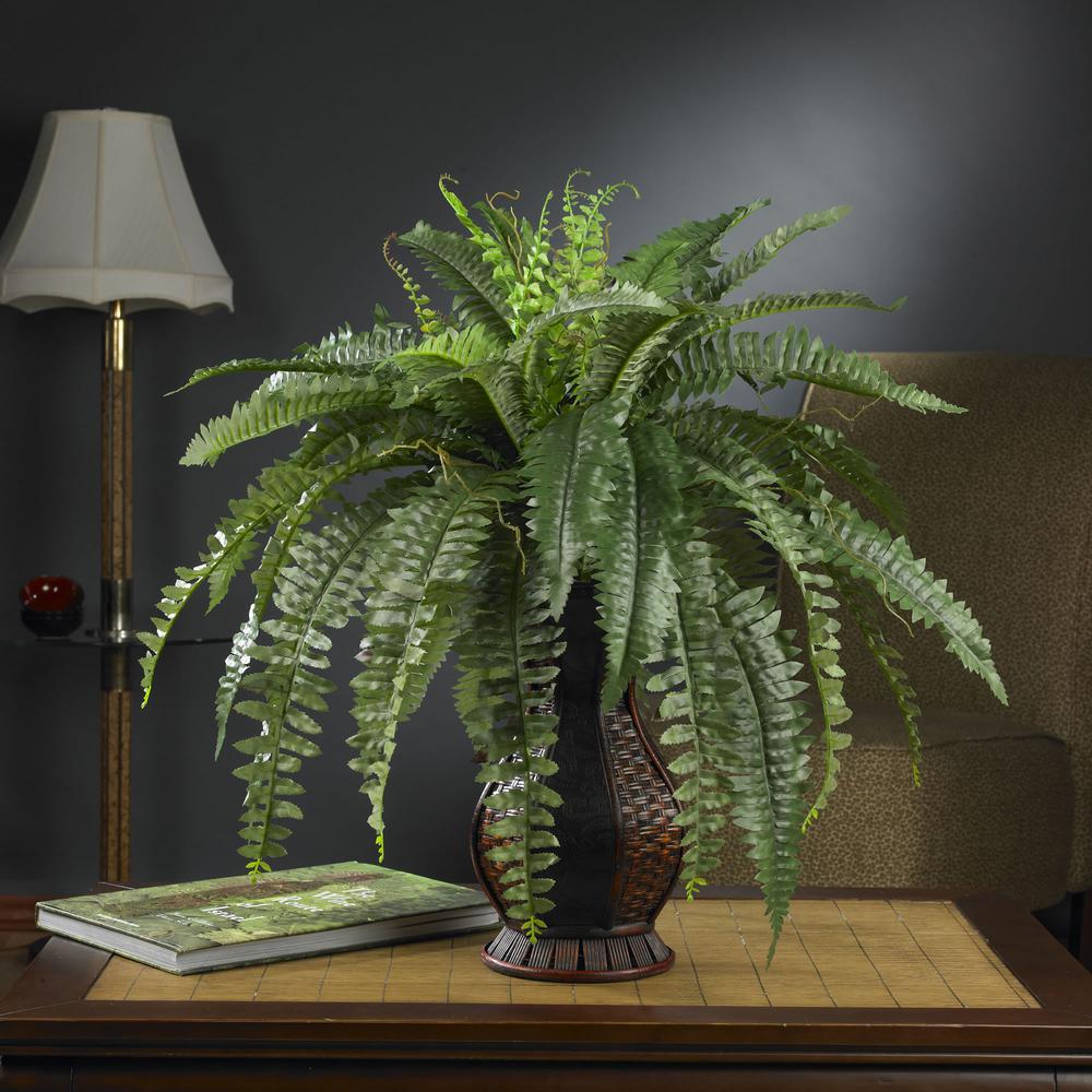 Boston Fern with Urn Silk Plant. Picture 2