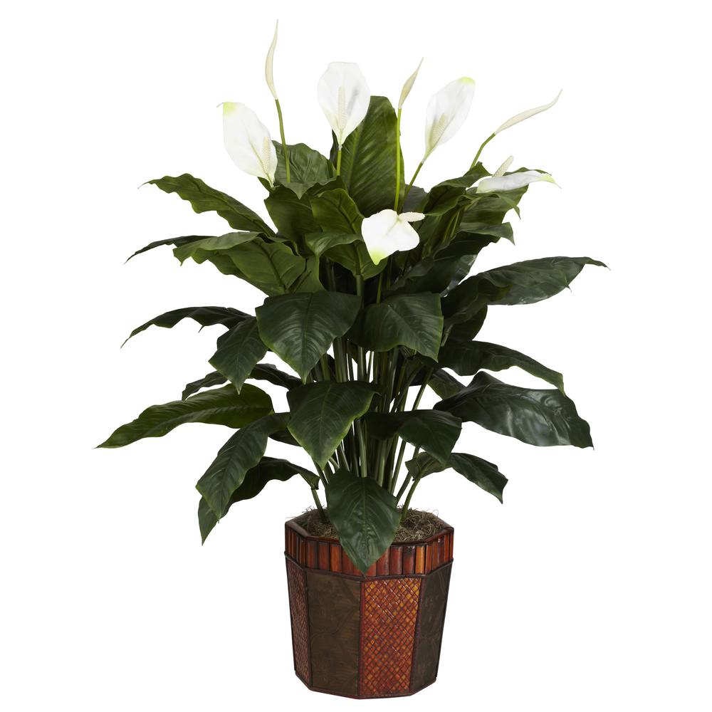 Spathiphyllum with Vase Silk Plant. Picture 1