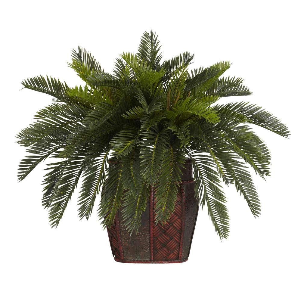 Double Cycas with Vase Silk Plant. Picture 1