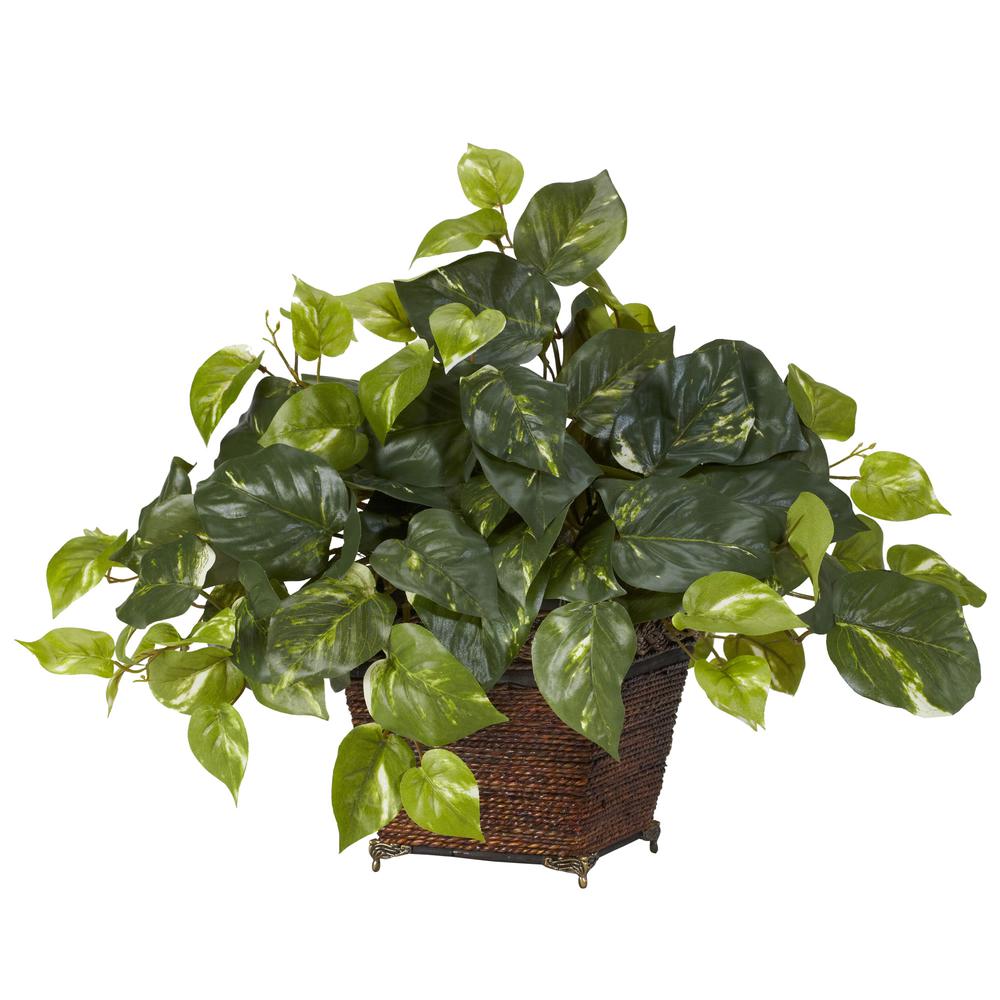 Pothos with Coiled Rope Planter Silk Plant. Picture 1