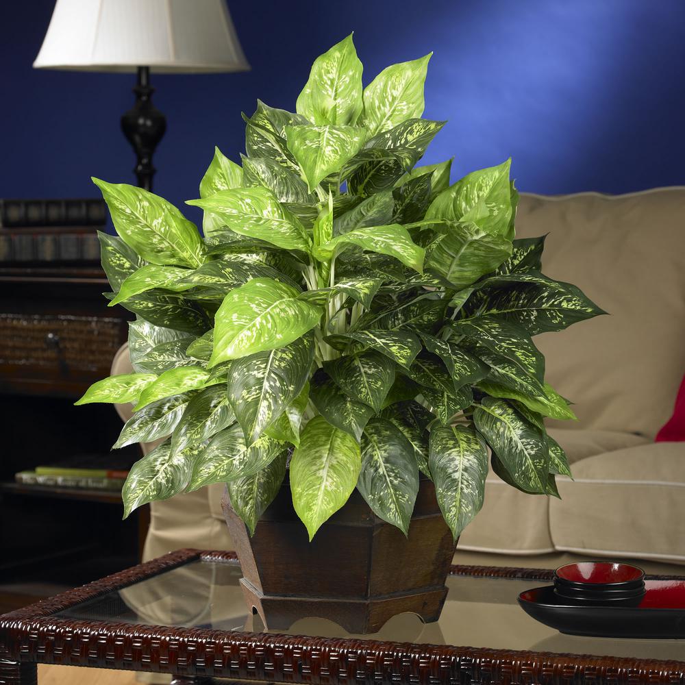 Variegated Dieffenbachia with Large Hexagon Silk Plant. Picture 2