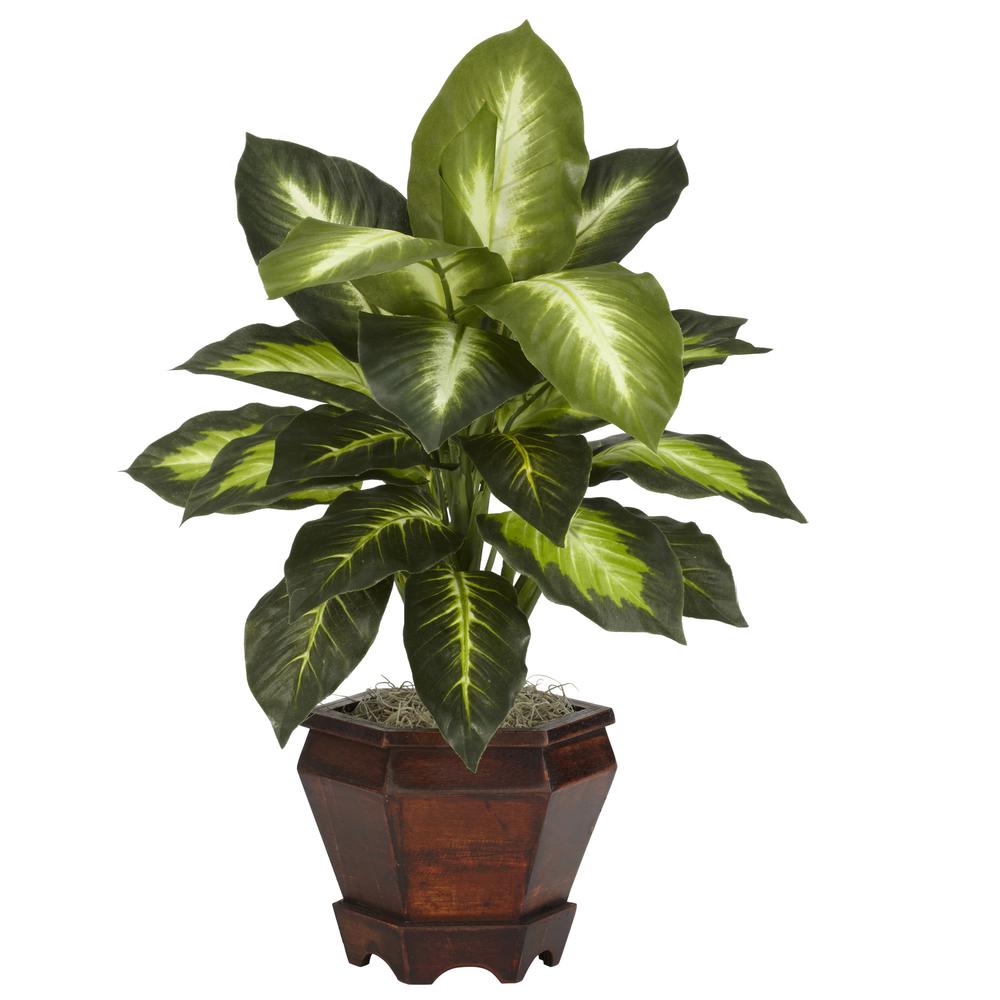 Dieffenbachia with Wood Vase Silk Plant (Set of 2), Assorted. Picture 4