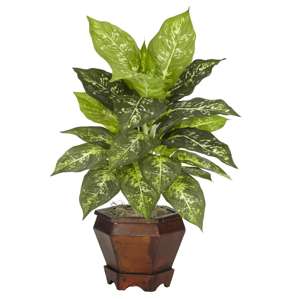 Dieffenbachia with Wood Vase Silk Plant (Set of 2), Assorted. Picture 3
