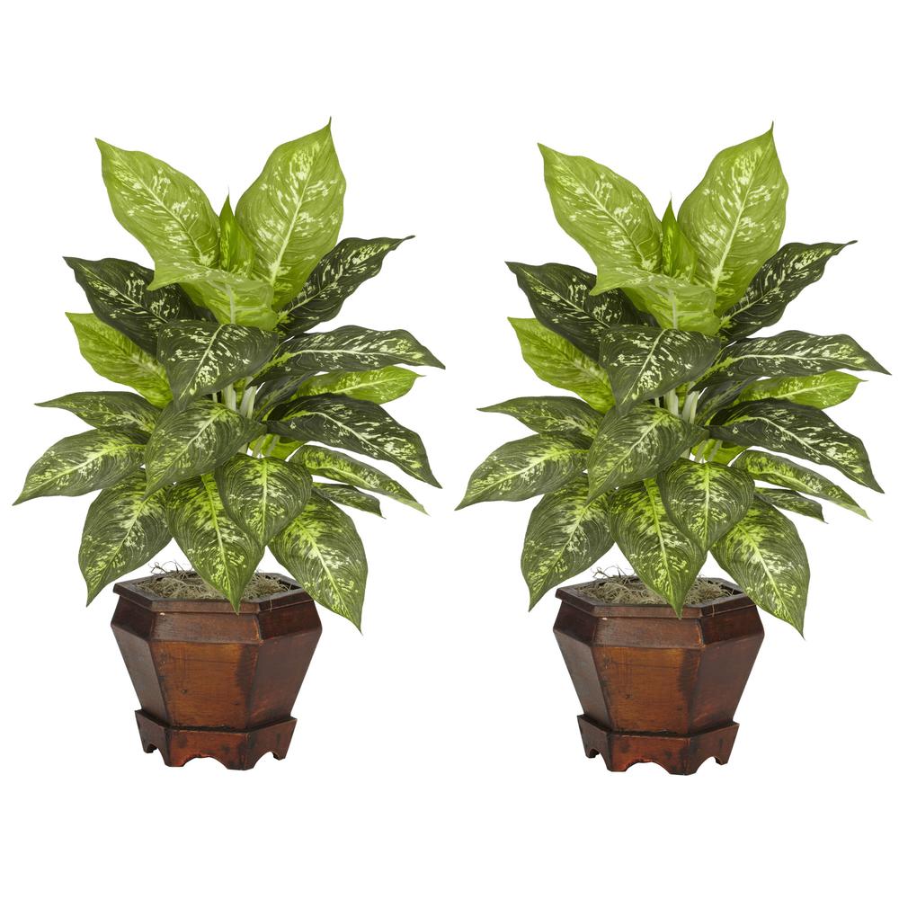 Dieffenbachia with Wood Vase Silk Plant (Set of 2), Variegated. Picture 1