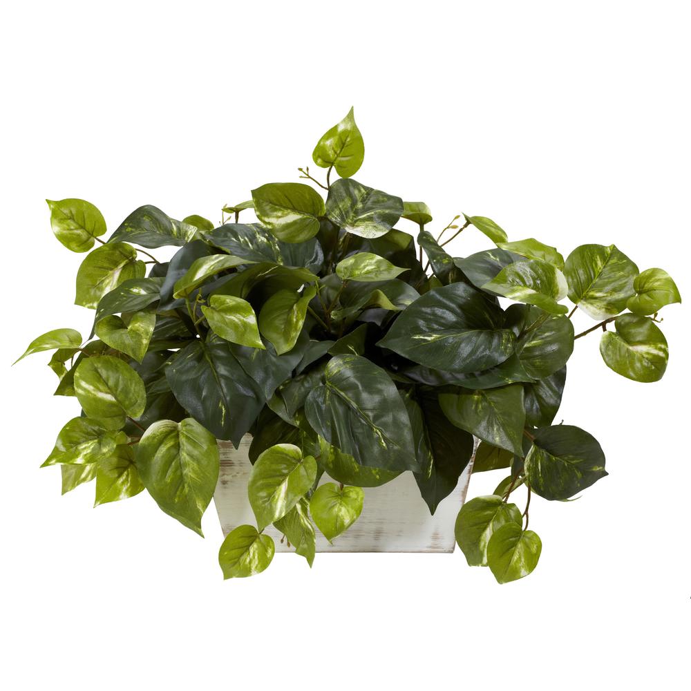 Pothos with White Wash Planter Silk Plant. Picture 1